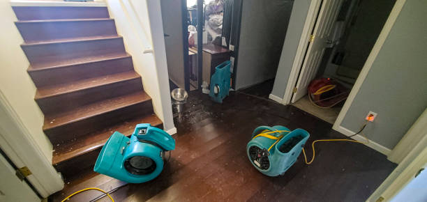 Best Mold removal after water damage  in Brewer, ME