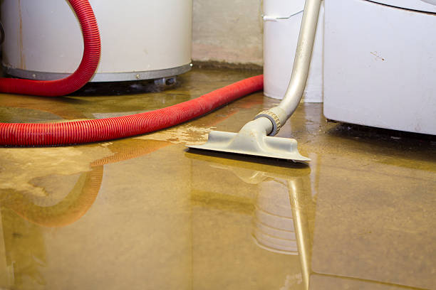 Local water damage restoration in ME